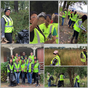 Prairie volunteer collage